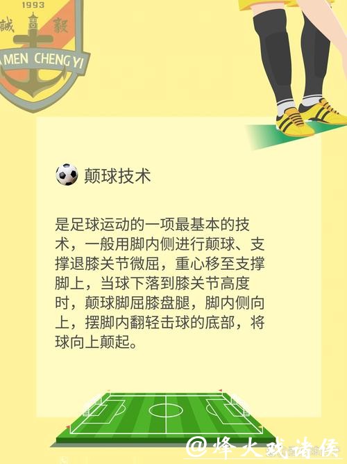 世界杯滚球常见问题解答，新手必看宝典